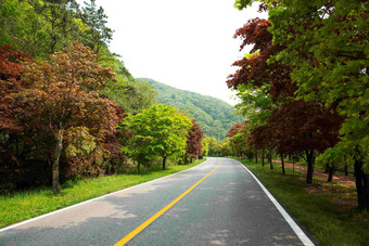 Naejangsan山路的方式