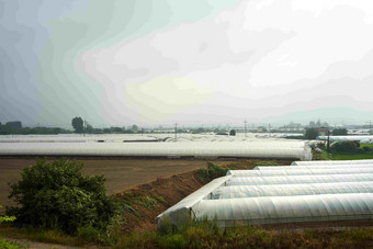 乙烯温室Pyeongtaeksi农场