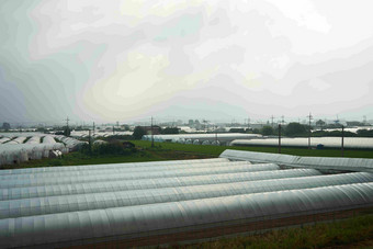 乙烯温室Pyeongtaeksi农业