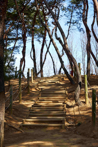 楼梯森林路径Seonjeongneung