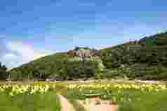 黄色纸风车山峰风景摄影图