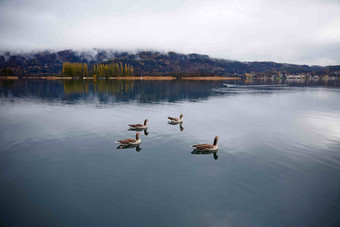 奥地利Salzkammergut<strong>鸭</strong>景观