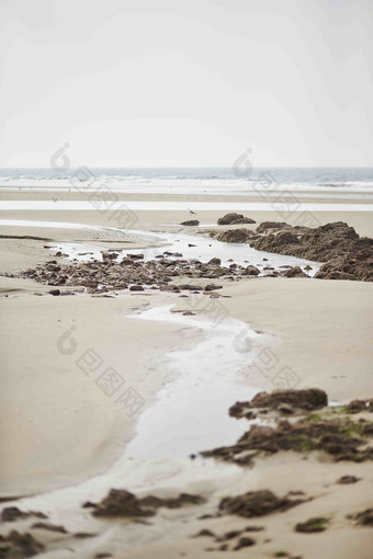 沿海沙滩石头风化砂砾摄影图