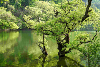 Jusanji水库著名的旅行