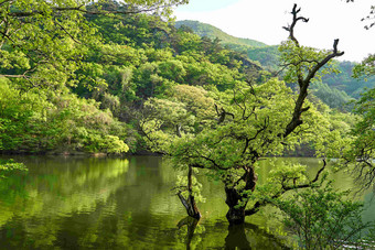 Jusanji水库著名的目的地