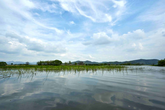 沼泽好<strong>的</strong>湿地公园