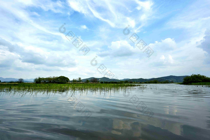 沼泽好的湿地Gyeongsangnamdo