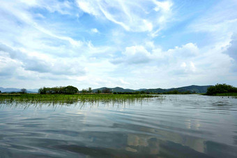 沼泽好的湿地Gyeongsangnamdo