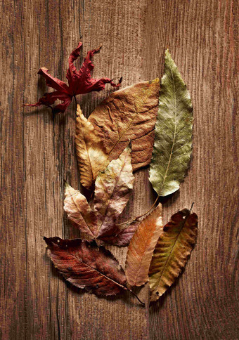 木纹桌面秋天的枯树叶场景摄影图