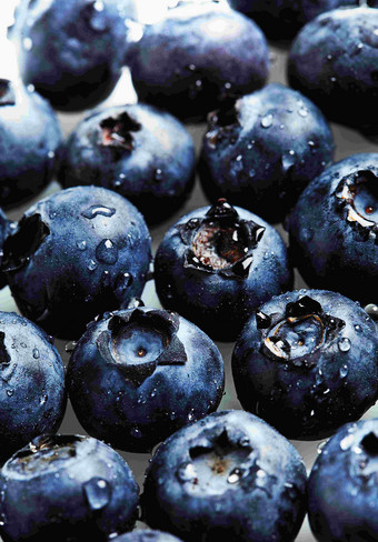新鲜的蓝莓<strong>水珠</strong>背景静物摄影图