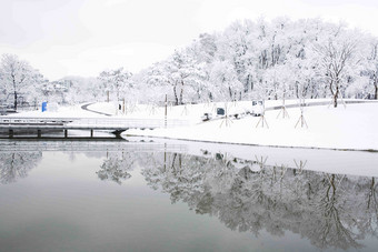 雪景场景梦想森林