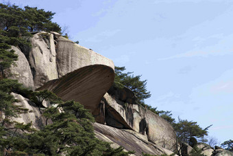 Dobongsan山岩石植物