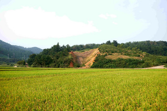 滑坡土壤污垢崩溃