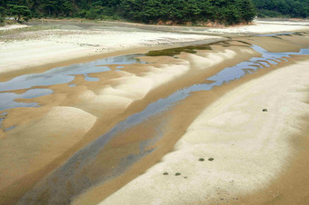 海洋Anmyeondo岛流