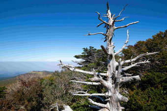 韩国<strong>共和国</strong>南风景