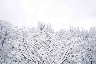 雪景场景梦想户外