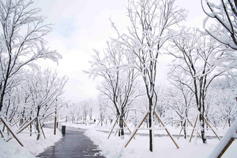 雪景场景梦想景观