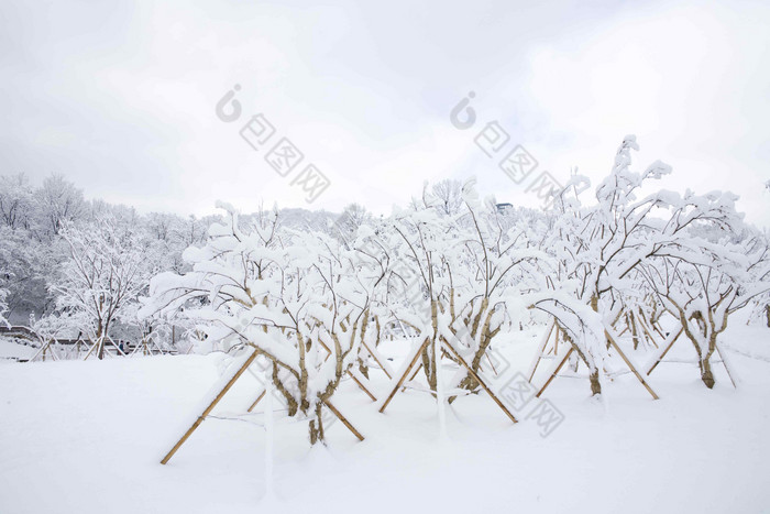 雪景场景梦想风景