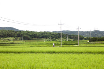 摩托车高级交通Gyeongjusi