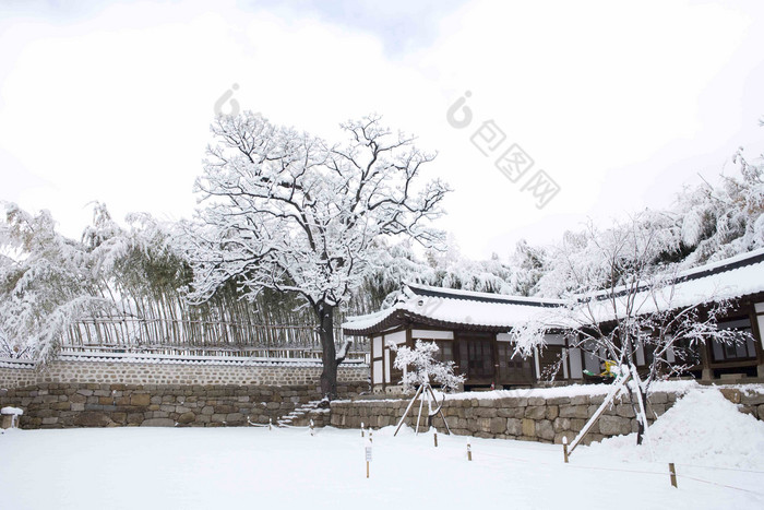 雪景场景梦想韩国