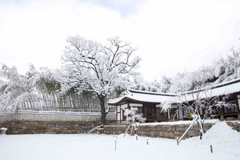雪景场景梦想韩国