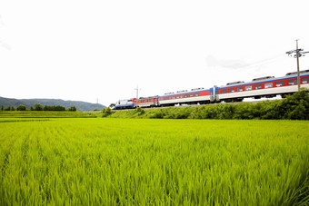 火车交通Gyeongjusi<strong>大米</strong>