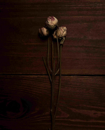 木板上几支玫瑰干花暗调朦胧