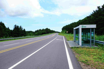 公共汽车站牌公路沿边森林风景摄影图