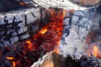 废木材树木燃烧后木炭灰烬特写