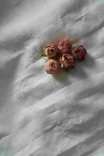 几朵玫瑰干花竖版静物图