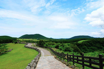 火山公园绿地植物小道风景摄影图