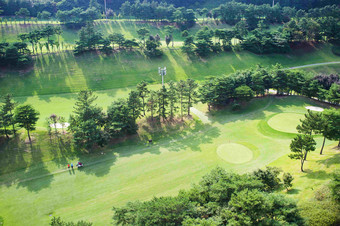 绿地高尔夫球场绿化风景摄影图