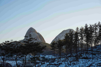 冬季山地树林植物风景摄影图