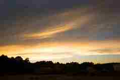 黄色日落黄昏森林风景摄影图