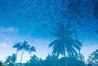 海南三亚度假区椰子树风景摄影图
