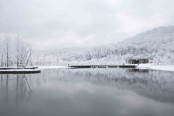 雪景场景森林首尔