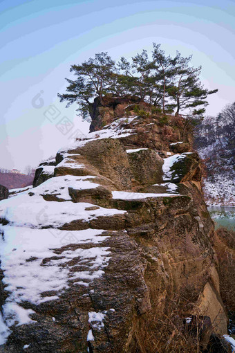 雪后的奇山和<strong>植物</strong>风景图