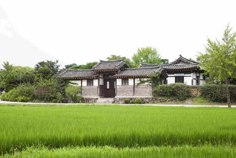 农场门户特色农村建筑绿色稻田风景摄影图