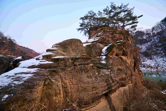 雪后的奇山和植物雪景风景图