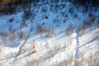 Deogyusan山雪景树