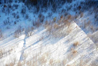 Deogyusan山雪景植物