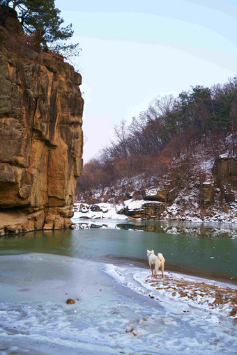 冬季<strong>户外</strong>雪景图和宠物狗