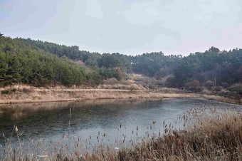 Duung湿地沼泽湖