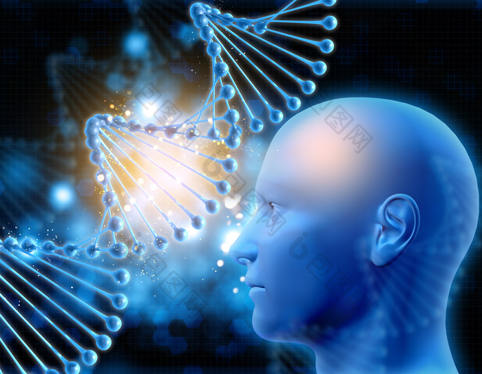 3D人体头部和DNA链