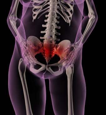女医疗骨架与胃疼痛