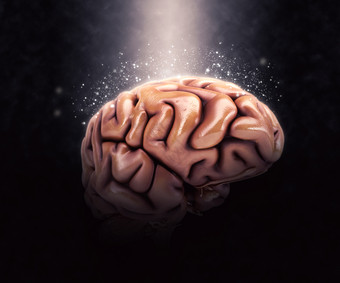 生物学人体大脑摄影图