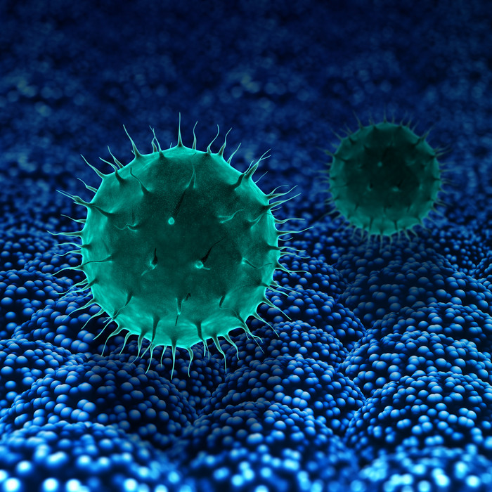 绿色的微生物病毒摄影图