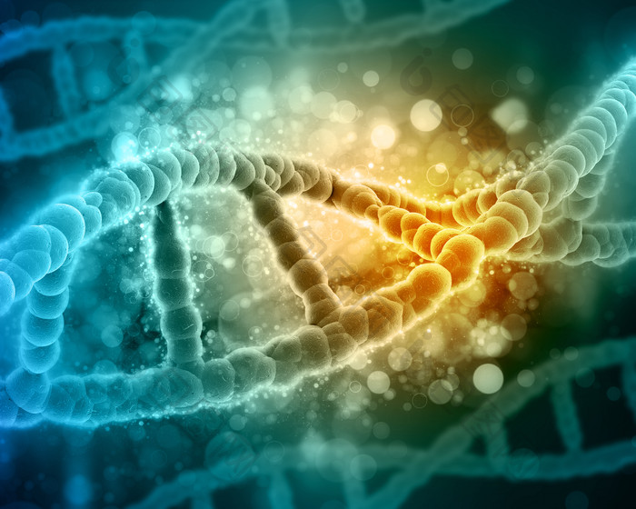 3D医疗DNA链摄影图