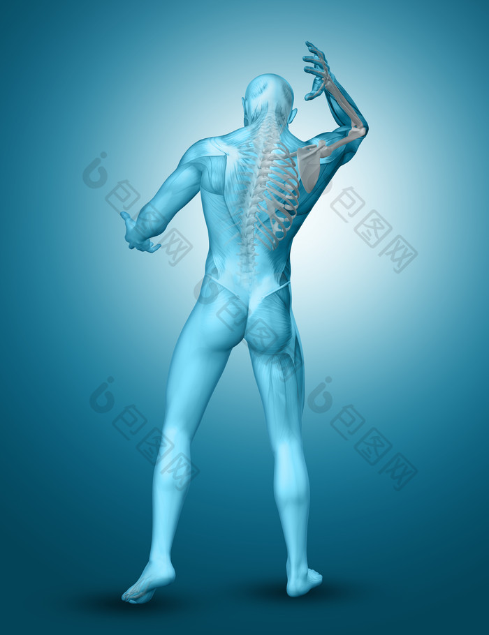 男性背后骨骼摄影图