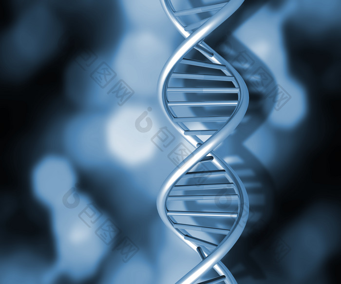 DNA链2
